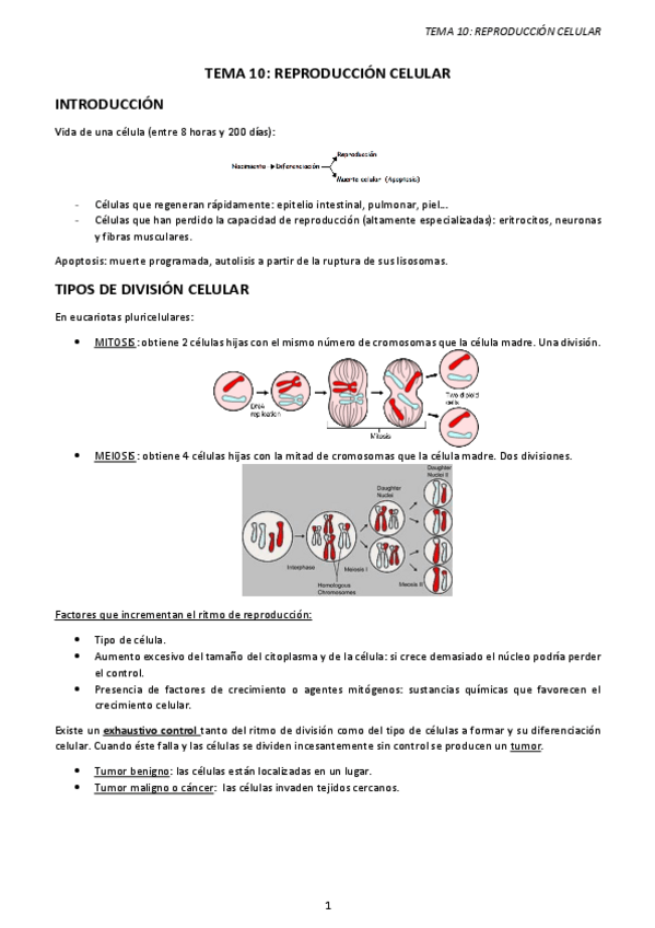 Miniatura del documento TEMA-10.-REPRODUCCION-CELULAR.pdf