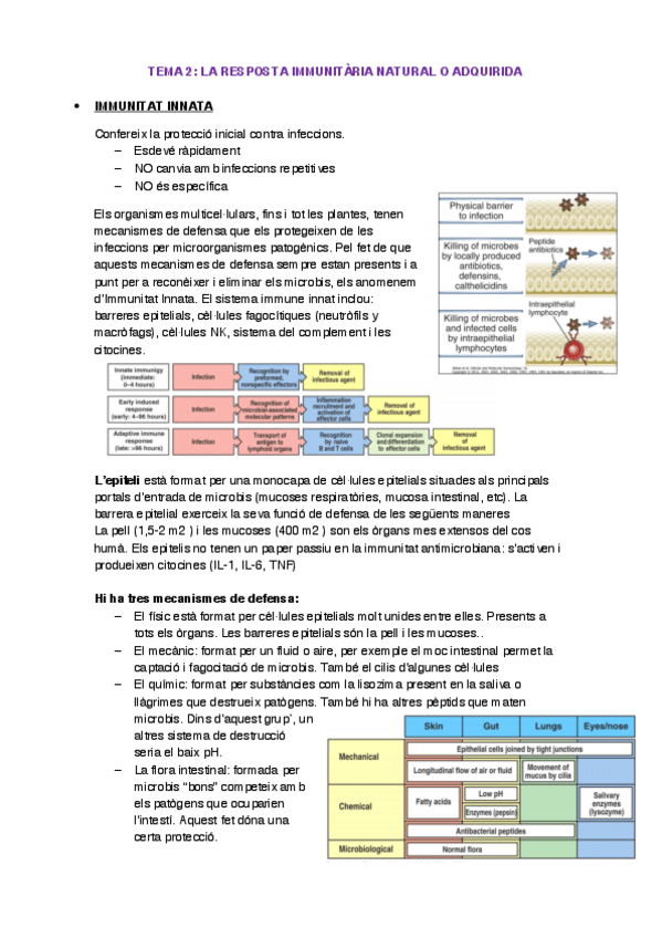 Miniatura del documento Apunts immunologia.pdf