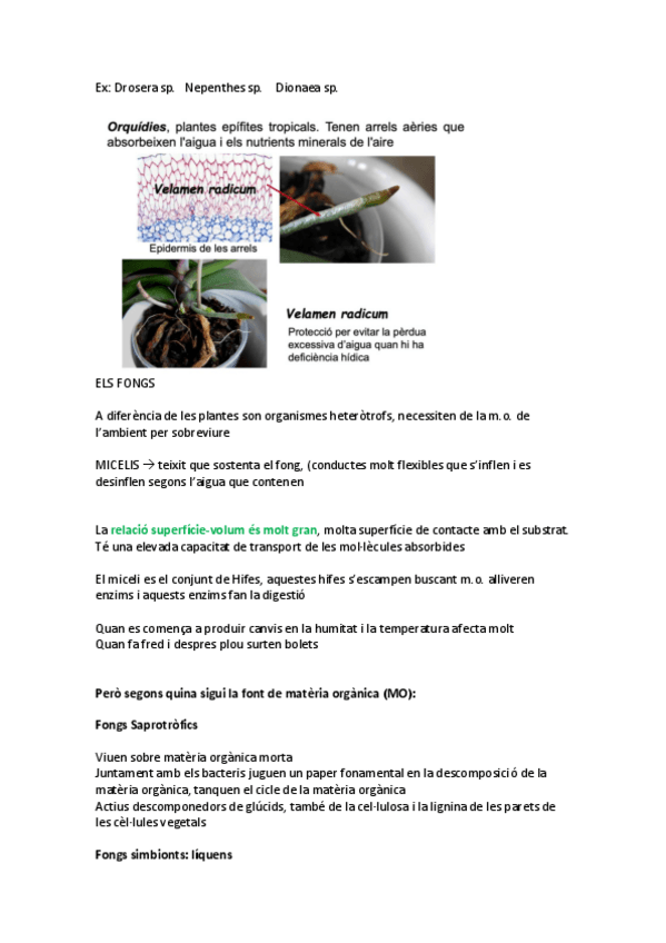 Miniatura del documento Apunts-complets-BIO-II-2a-Part.pdf