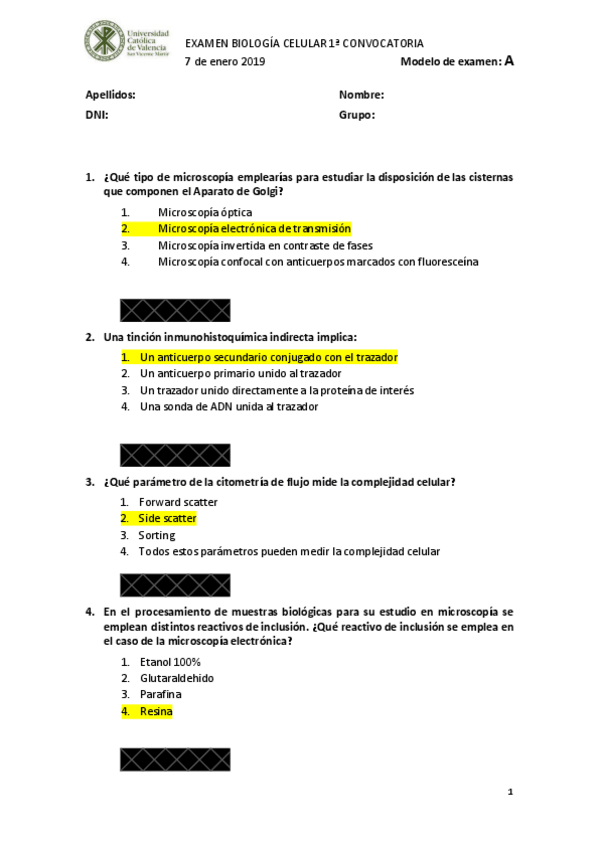 Miniatura del documento 2019.pdf