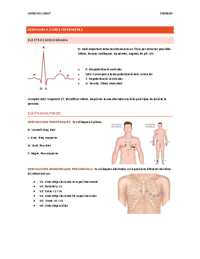 Miniatura del documento SEMINARI-II-ECG.pdf