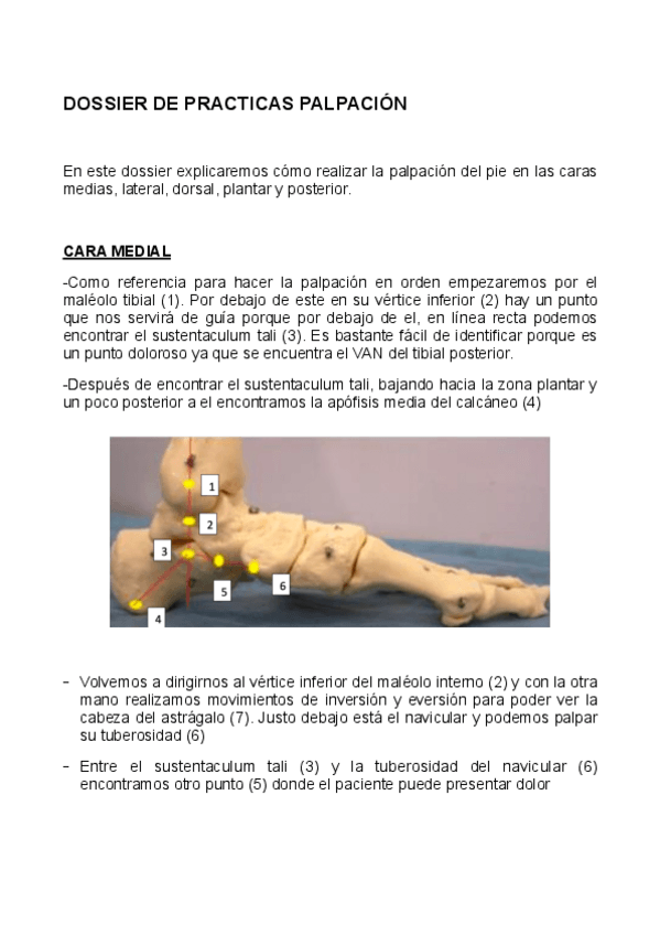 Miniatura del documento DOSSSIER-PRACTICAS-PALPACION.pdf