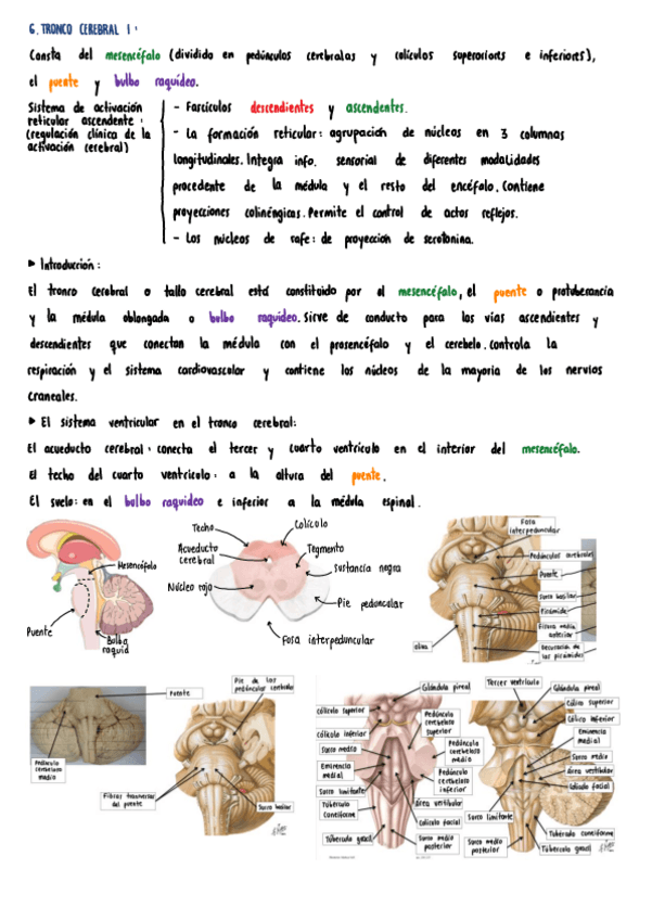 Miniatura del documento Tema-6789-y-10.pdf