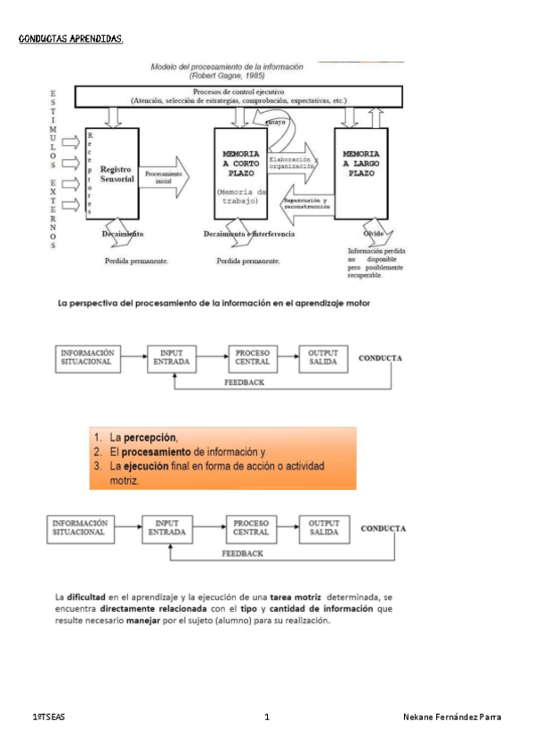Miniatura del documento TEMA-3-RESUMEN.pdf