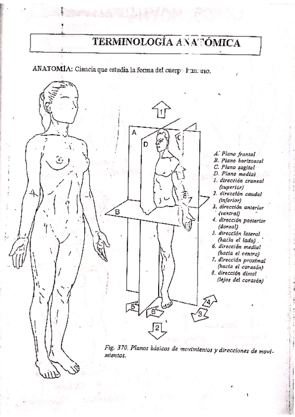 Miniatura del documento RESUMEN-Libro-Movimientos.pdf