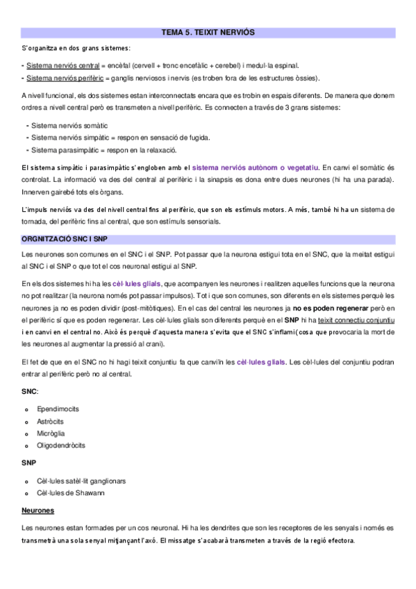 Miniatura del documento Apunts-teixit-nervios.pdf