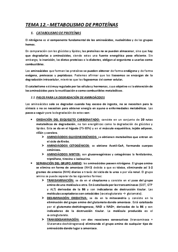Miniatura del documento TEMA-12.-METABOLISMO-DE-PROTEINAS.pdf