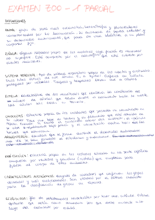 Miniatura del documento 1er-parcial.pdf