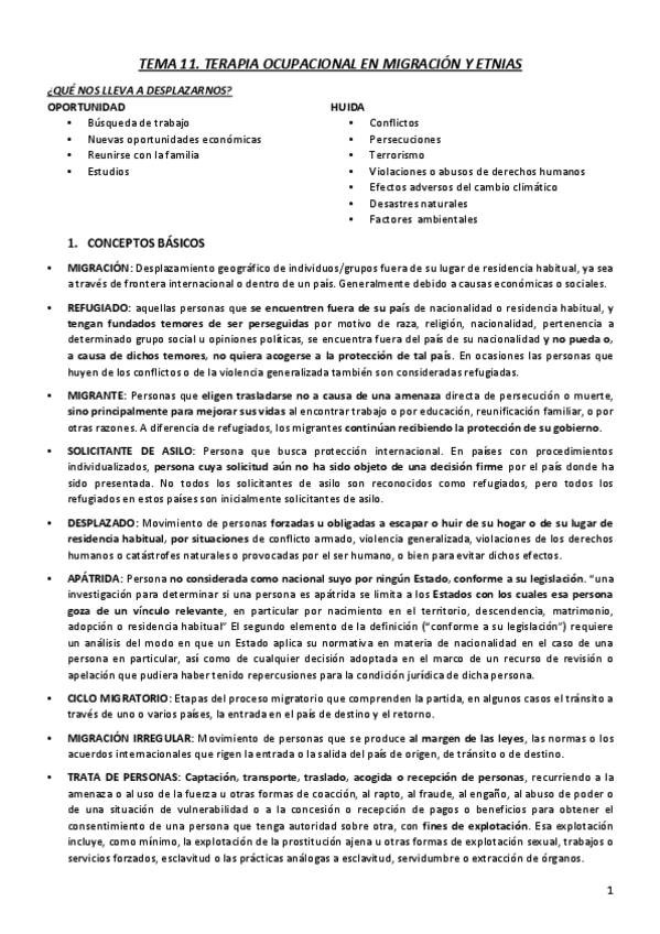 Miniatura del documento T11.-TO-EN-MIGRACION-Y-ETNIAS.pdf