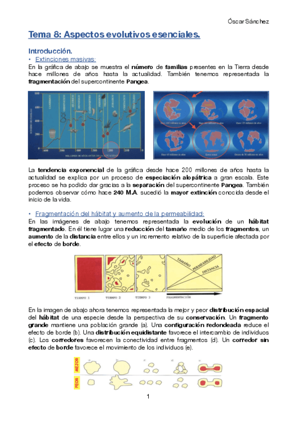 Miniatura del documento Tema-8-Biodiversidad.pdf