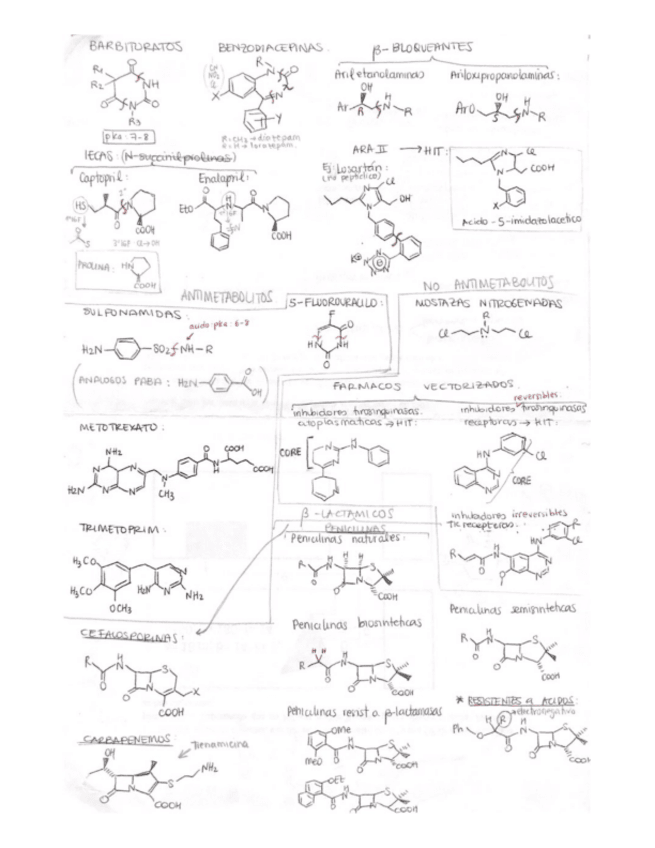Miniatura del documento Estructuras-y-relaciones-estructura-actividad.pdf