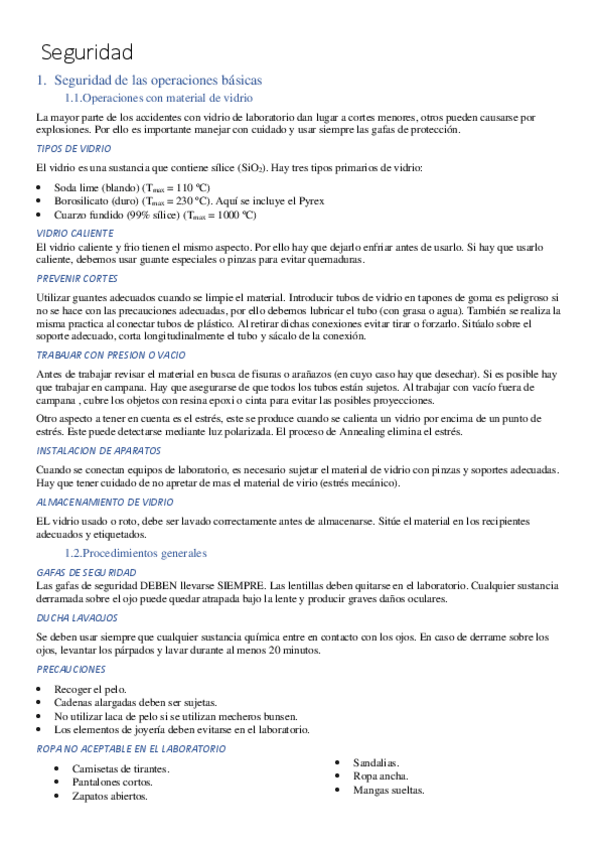 Miniatura del documento Seguridad.pdf