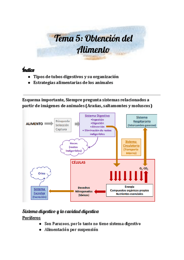 Miniatura del documento Tema 5 -Zoología.pdf