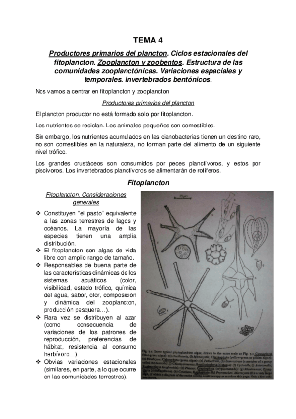 Miniatura del documento T4_Productoresprimariosdelplancton_Zooplanctonyzoobentos.pdf