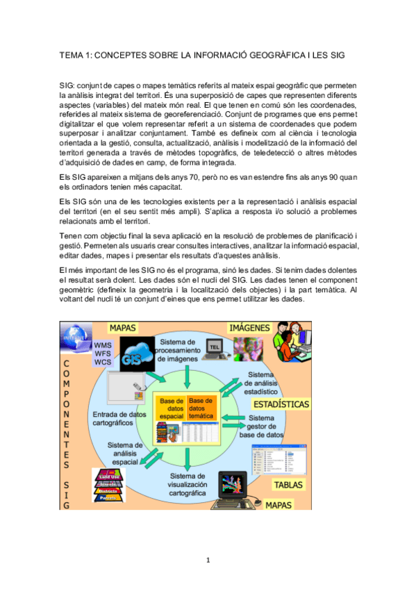 Miniatura del documento Apunts SIG.pdf