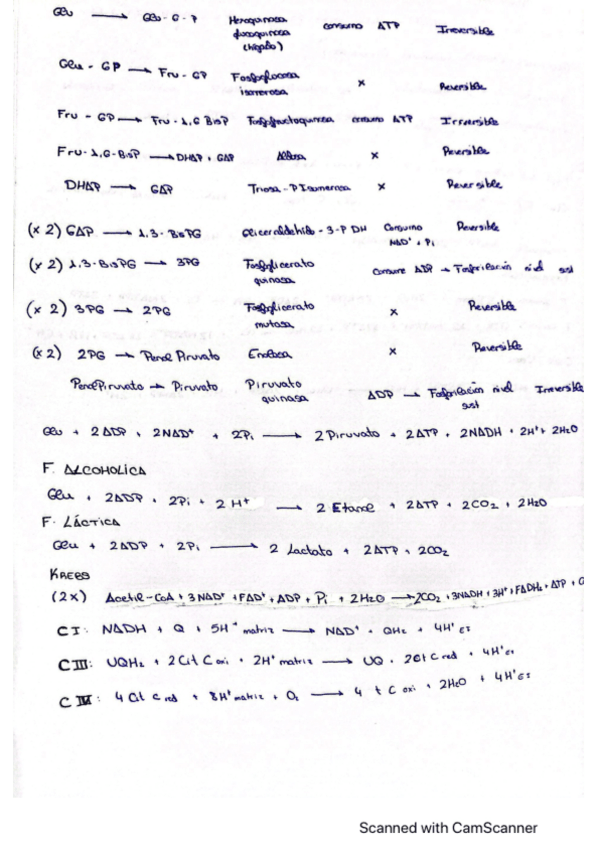 Miniatura del documento Resumen-balances.pdf