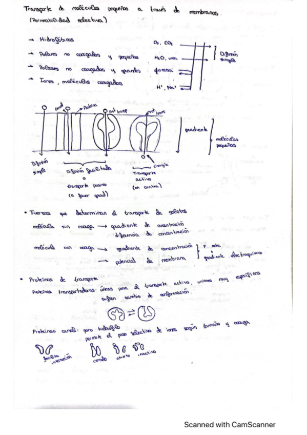 Miniatura del documento Preguntas-examen-1a-parte.pdf