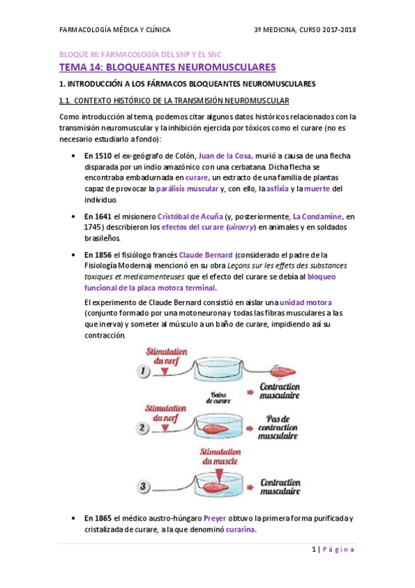 Miniatura del documento TEMA 14 - BLOQUEANTES NEUROMUSCULARES.pdf
