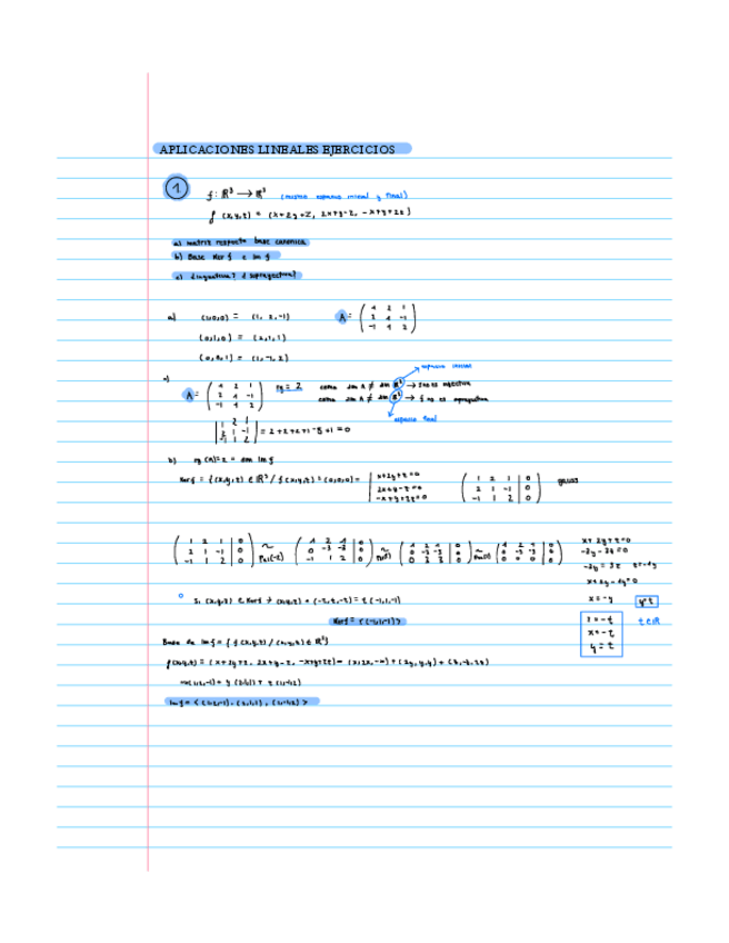 Miniatura del documento Aplicaciones-lineales.pdf
