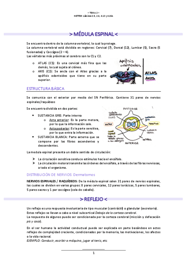 Miniatura del documento T.2-NEUROLOGIA.pdf