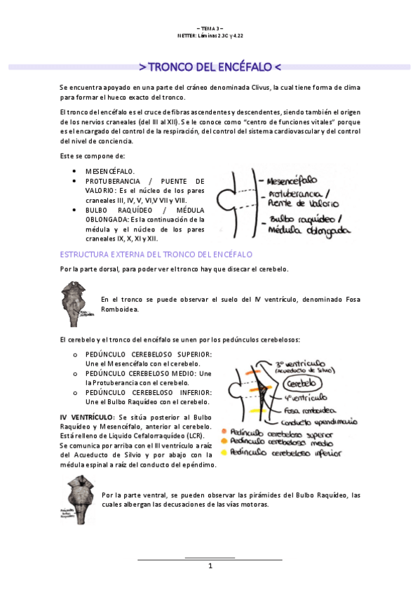Miniatura del documento T.3-NEUROLOGIA.pdf