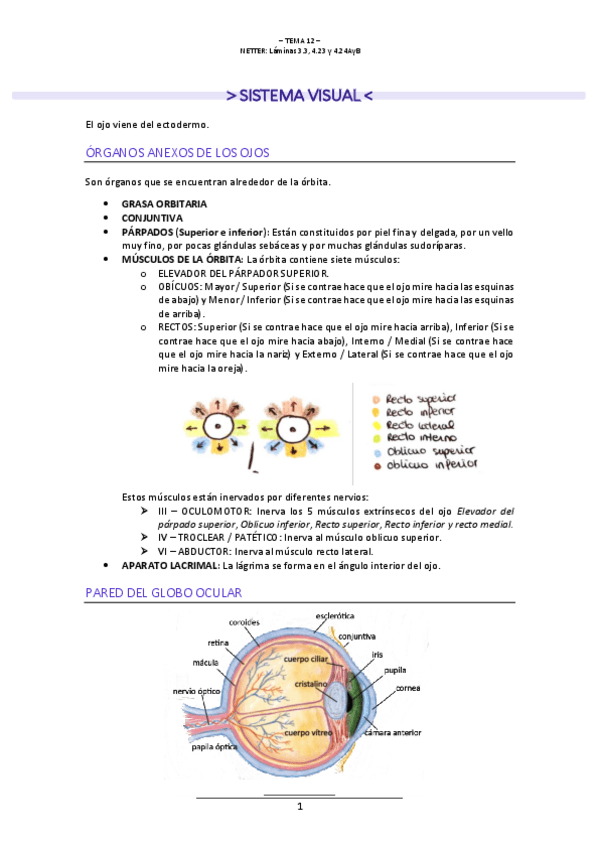 Miniatura del documento T.12-NEUROLOGIA.pdf