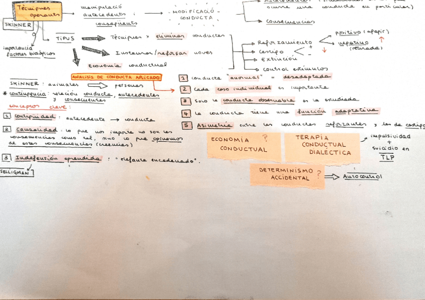 Miniatura del documento Esquema-facil-tecnicas-operantes-inicio.pdf