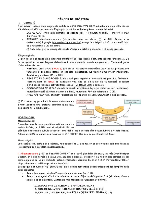 Miniatura del documento Apa-onco-1-marc.pdf