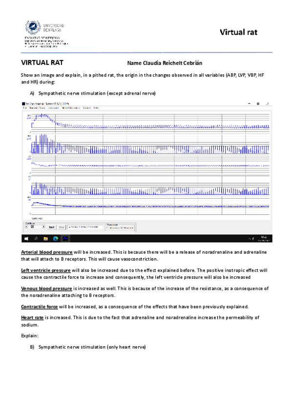 Miniatura del documento Multimedia-2.pdf