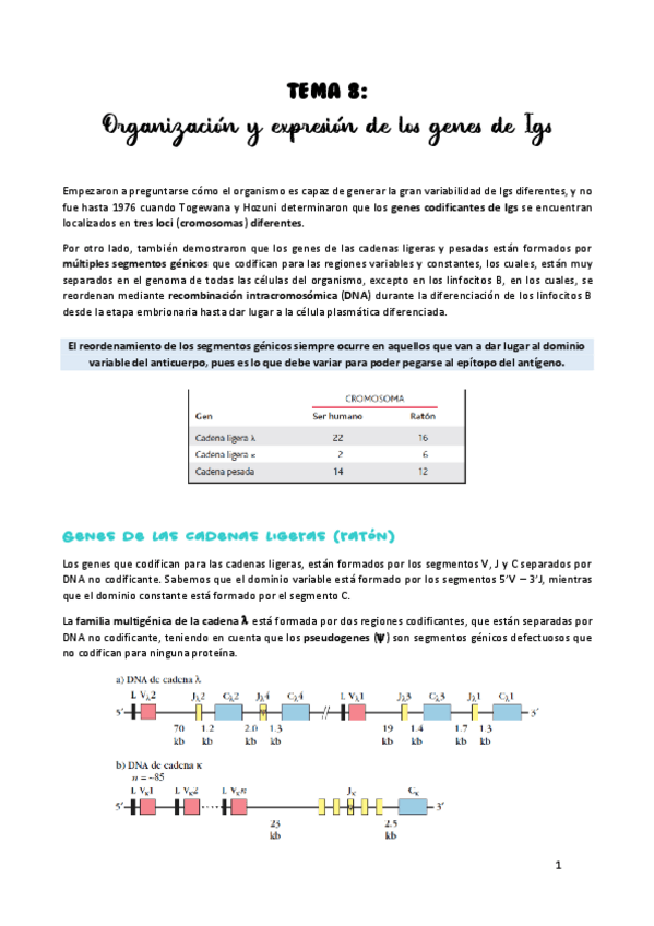 Miniatura del documento TEMA-8.pdf
