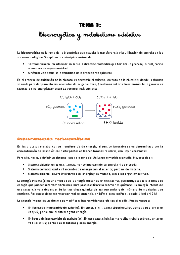 Miniatura del documento TEMA-1.pdf