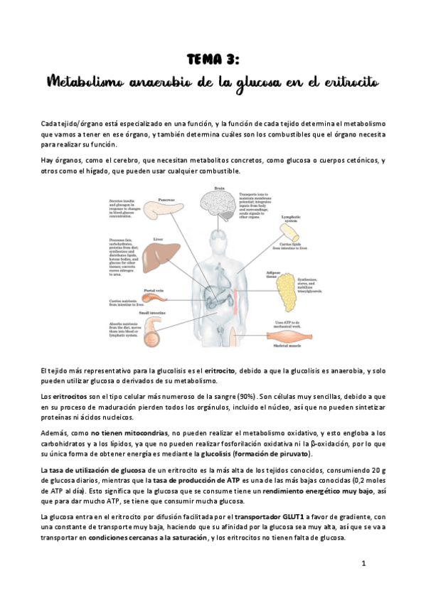 Miniatura del documento TEMA-3.pdf