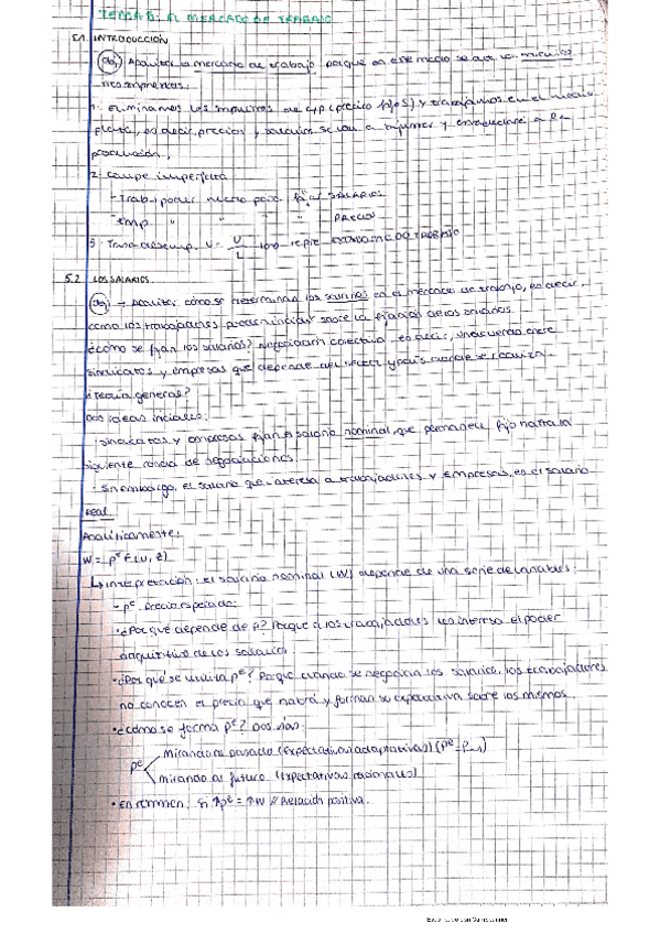 Miniatura del documento apuntes-y-ejercicios-t5-macro.pdf