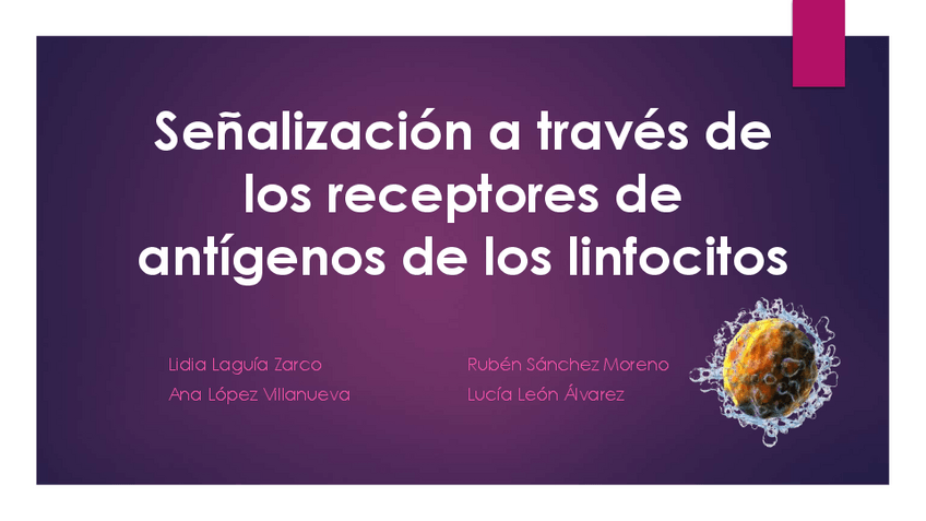 Miniatura del documento SEMINARIO-SENALIZACION.pdf