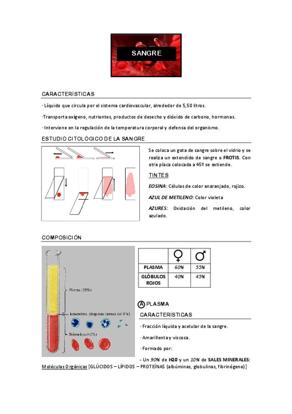 Miniatura del documento SANGRE.pdf