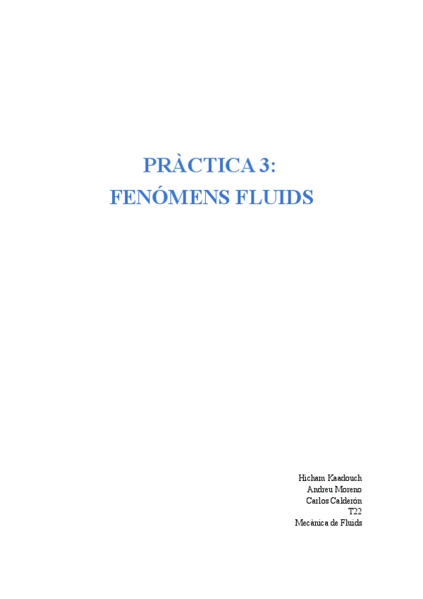 Miniatura del documento MF-T2-P3-Kaadouch-Moreno-Calderon.docx.pdf