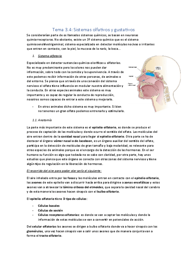 Miniatura del documento Tema-3-parte-4.pdf