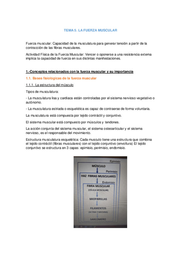 Miniatura del documento tema-5-fundamentos-preguntas.pdf