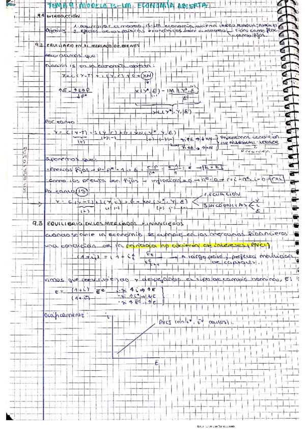 Miniatura del documento apuntes-y-ejercicios-t9-macro.pdf