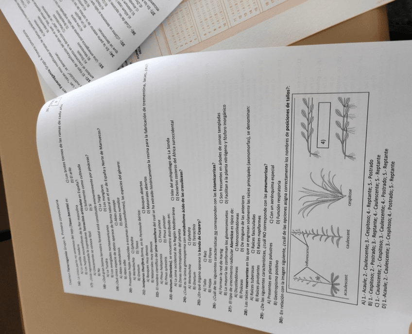 Miniatura del documento examen-fane-2.pdf