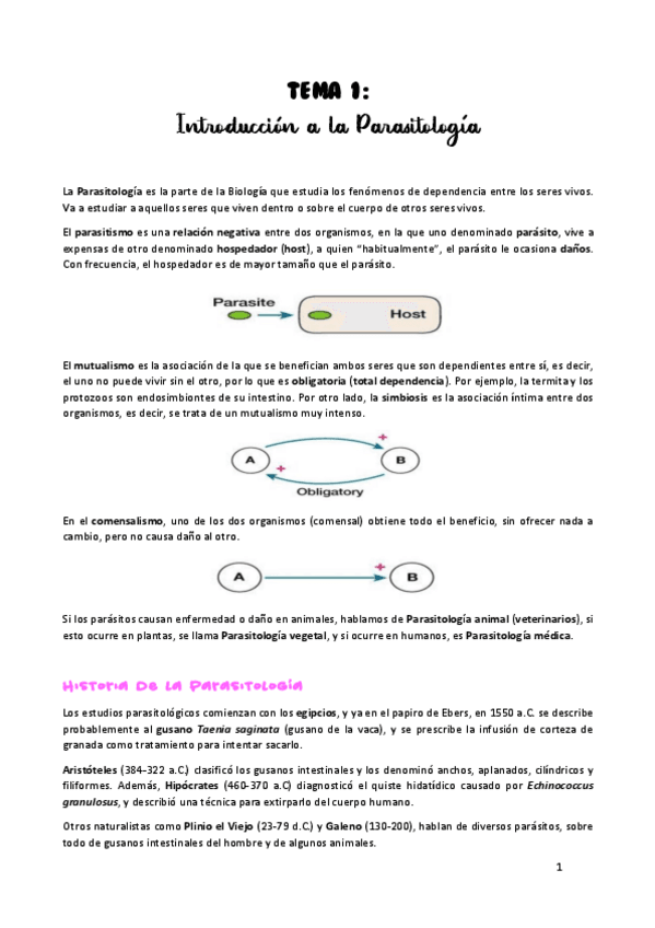 Miniatura del documento TEMA-1.pdf