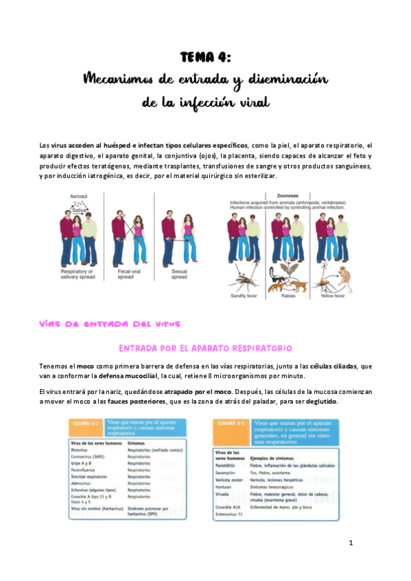 Miniatura del documento TEMA-4.pdf