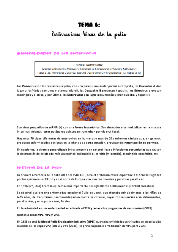 Miniatura del documento TEMA-6.pdf