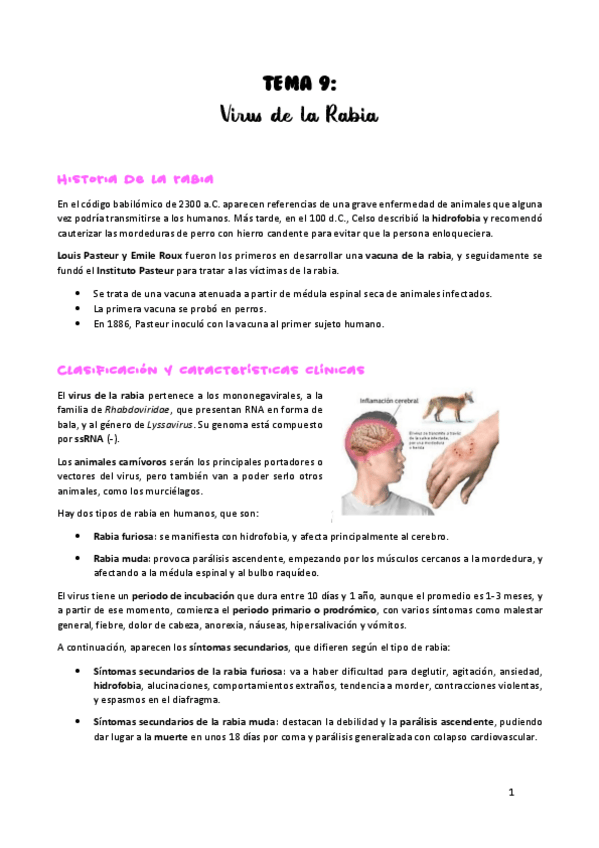 Miniatura del documento TEMA-9.pdf