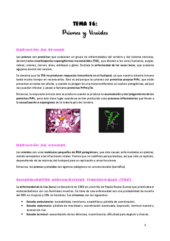 Miniatura del documento TEMA-16.pdf