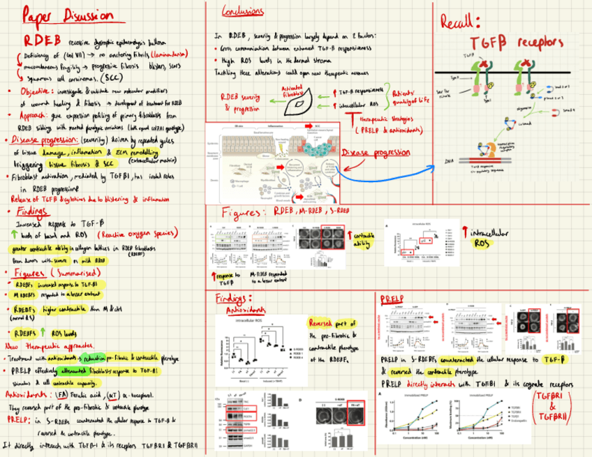 Miniatura del documento Mechanistic-interrogation-paper-Notes.pdf