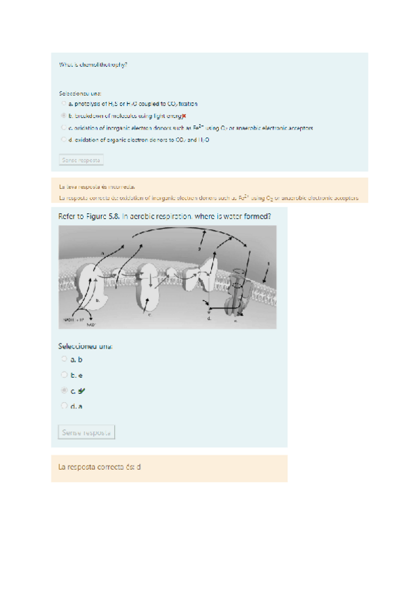 Miniatura del documento Questionari-tema-3.pdf