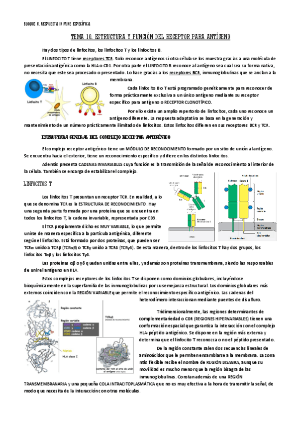 Miniatura del documento bloque-V-respuesta-inmune-especifica.pdf