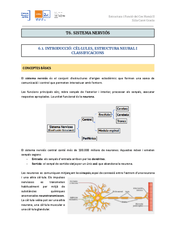 Miniatura del documento T6.-Sistema-nervios.pdf