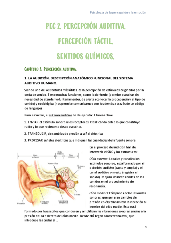 Miniatura del documento APUNTES-PEC-2.-PERCEPCION-AUDITIVA-TACTIL-Y-SENTIDOS-QUIMICOS.pdf